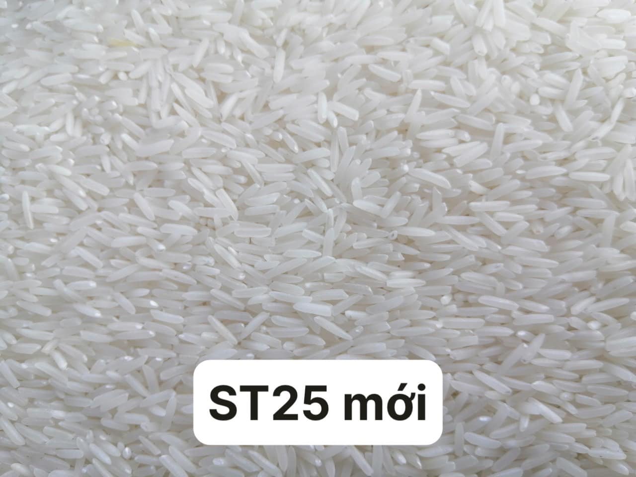 Gao_ST25 Gạo thơm ST25