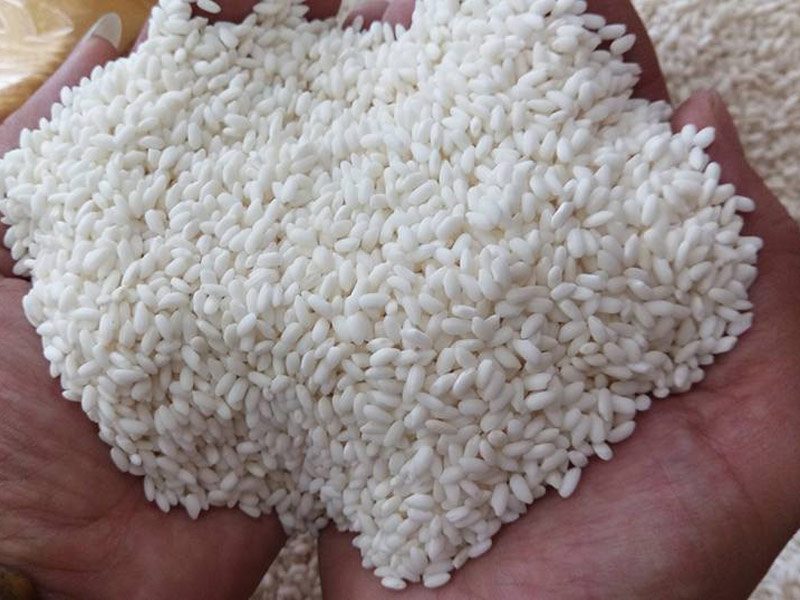 gao-nep-bac Gạo Nếp Bắc