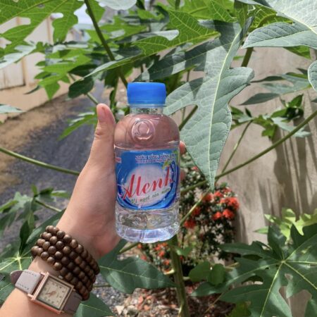 Nước Đóng Chai Nhỏ Alenk 250ml (lốc 24 chai)