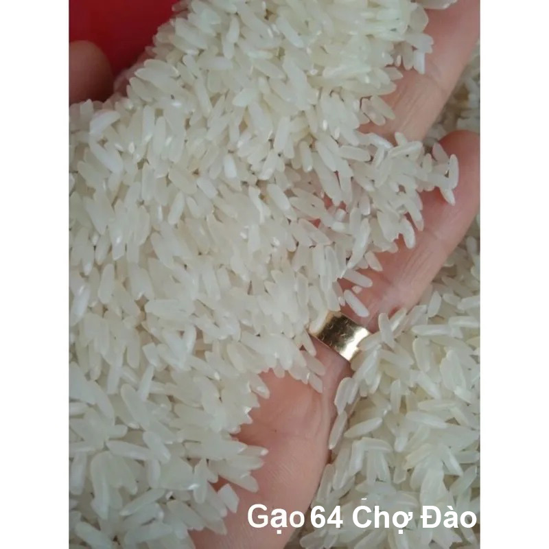 gao-64-cho-dao Gạo 64 Chợ Đào