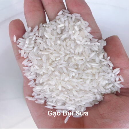 Gạo Bụi Sữa