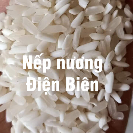 Gạo Nếp Nương Điện Biên